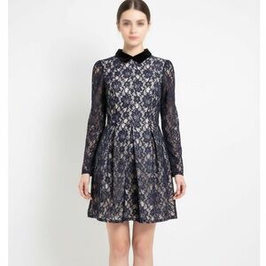 Jill Stuart Blue velvet Peter Pan Lace Dress  Long Sleeve size XS PETITE NEW